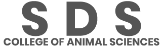 sdstohana.com